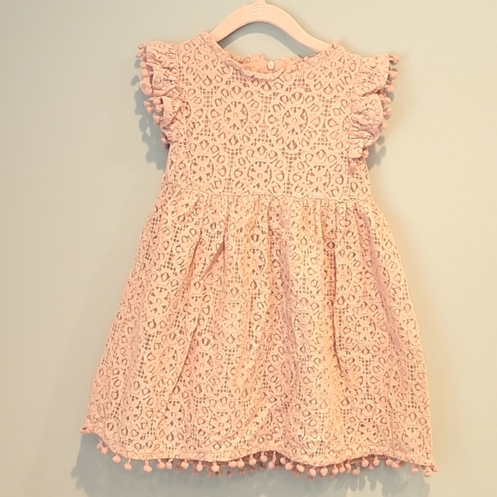Niyage Toddler Girls Elegant Lace Pom Pom Flutter Sleeve Party Dress